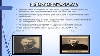 HISTORY OF MYOPLASMA
 The name of mycoplasma from the Greek mykes (fungus) and plasma (formed), was
proposed in 1950s replace that the term plural pneumonia like PPLO .
 The generic name of mycoplasma was given by KNOWAK in 1929 due to their fungus
like resembless.
 This organism were firstly observed Louis pasture in 18 centuries , when he studying the
causative agent of BOVINI PLURAL PNEUMONIA.
 Its was believed that causal agent of PPLO( plural pneumonia like organism).
 This causal agent was first isolated by NOCARD & EMILE ROUX in 1898.
NOCARD E. ROUX
 