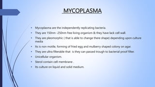 MYCOPLASMA
 Mycoplasma are the independently replicating bacteria.
 They are 150nm -250nm free living organism & they have lack cell wall.
 They are pleomorphic ( that is able to change there shape) depending upon culture
media
 Its is non motile, forming of fried egg and mulberry shaped colony on agar.
 They are ultra filterable that is they can passed trough to bacterial proof filter.
 Unicellular organism.
 Sterol contain cell membrane .
 Its culture on liquid and solid medium.
 