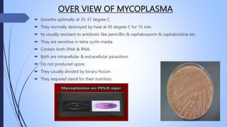 OVER VIEW OF MYCOPLASMA
 Growths optimally at 35-37 degree C.
 They normally destroyed by heat at 45 degree C for 15 min.
 Its usually resistant to antibiotic like penicillin & cephalosporin & cephaloridine etc.
 They are sensitive in tetra cyclin media.
 Contain both DNA & RNA.
 Both are intracellular & extracellular parasitism.
 Do not produced spore.
 They usually divided by binary fission.
 They required sterol for their nutrition.
 