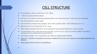 CELL STRUCTURE
 In mycoplasma cells are small that is 150- 250nm.
 They have rigid cell wall is absent.
 Cell are surrounded by triple layer lipoprotinatious unit membrane that is 10nm thick cell membrane.
 This cell membrane contain sterol.
 Unit membrane encloses the cytoplasm, with in the cytoplasm RNA , DNA & Ribosome are +nt.
 Ribosome are 14nm & diameter & 72 S- type .
 DNA (double stranded helix) & it can be distinguish from bacterial DNA from low GC contain.
 In some species from some polar body protrude out from one or other end of the cell BLEV. This BLEV is
consider the site of attachment during infection.
 The surface antigen +nt in mycoplasma are made up of glycoprotein & lipid:-
 They are 17 species of mycoplasma have been isolated from human, but 4 species are clinically significance for
infection.
 These species are M. homnis, M. genitalivium.

 