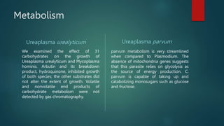 Metabolism
Ureaplasma urealyticum
We examined the effect of 31
carbohydrates on the growth of
Ureaplasma urealyticum and Mycoplasma
hominis. Arbutin and its breakdown
product, hydroquinone, inhibited growth
of both species; the other substrates did
not alter the extent of growth. Volatile
and nonvolatile end products of
carbohydrate metabolism were not
detected by gas chromatography.
Ureaplasma parvum
parvum metabolism is very streamlined
when compared to Plasmodium. The
absence of mitochondria genes suggests
that this parasite relies on glycolysis as
the source of energy production. C.
parvum is capable of taking up and
catabolizing monosugars such as glucose
and fructose.
 