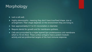 Morphology
 Lack a cell wall.
 Highly pleomorphic- meaning they don't have true/fixed shape, size or
arrangement. Their shape depends on the environment they are living in.
 Size: approximately 0.1 to 0.5 micrometers in diameter.
 Require sterols for growth and for membrane systhesis.
 Cells are surrounded by a triple layered lipo-proteinaceous unit membrane
which is 10 nm thick. These surface antigens have a potent modulin
activity and are preferential targets of the host immune response.
 