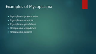 Examples of Mycoplasma
 Mycoplasma pneumoniae
 Mycoplasma hominis
 Mycoplasma genitalium
 Ureaplasma urealyticum
 Ureaplasma parvum
 