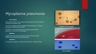 Mycoplasma pneumonia
Characteristics
These bacteria live in the urinary tract and genitals of about half of
all women and fewer men.
one of the smallest bacteria capable of self-replication, and lacks
the genes coding for the cell wall.
M. hominis is an intracellular gram negative pleomorphic
bacterium, 0.2 to 0.3 µm in diameter.
Diseases
postpartum fever, cesarean section wound infection, pelvic
inflammatory disease, and pyelonephritis
Symptoms
it's discarge in vagina • a pain during urination • vaginal itching
Under microscope
On media
 
