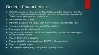 General Characteristics
 Within the cytoplasm ribosomes are found scattered in the peripheral zone. These
are 14 nm in di...