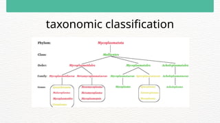 taxonomic classification
 