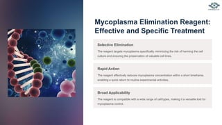 Mycoplasma Elimination Reagent:
Effective and Specific Treatment
Selective Elimination
The reagent targets mycoplasma specifically, minimizing the risk of harming the cell
culture and ensuring the preservation of valuable cell lines.
Rapid Action
The reagent effectively reduces mycoplasma concentration within a short timeframe,
enabling a quick return to routine experimental activities.
Broad Applicability
The reagent is compatible with a wide range of cell types, making it a versatile tool for
mycoplasma control.
 