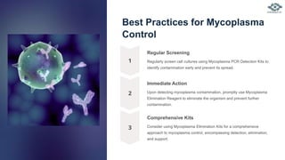 Best Practices for Mycoplasma
Control
Regular Screening
Regularly screen cell cultures using Mycoplasma PCR Detection Kits to
identify contamination early and prevent its spread.
Immediate Action
Upon detecting mycoplasma contamination, promptly use Mycoplasma
Elimination Reagent to eliminate the organism and prevent further
contamination.
Comprehensive Kits
Consider using Mycoplasma Elimination Kits for a comprehensive
approach to mycoplasma control, encompassing detection, elimination,
and support.
 