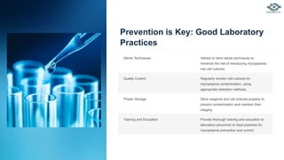 Prevention is Key: Good Laboratory
Practices
Sterile Techniques Adhere to strict sterile techniques to
minimize the risk of introducing mycoplasma
into cell cultures.
Quality Control Regularly monitor cell cultures for
mycoplasma contamination, using
appropriate detection methods.
Proper Storage Store reagents and cell cultures properly to
prevent contamination and maintain their
integrity.
Training and Education Provide thorough training and education to
laboratory personnel on best practices for
mycoplasma prevention and control.
 