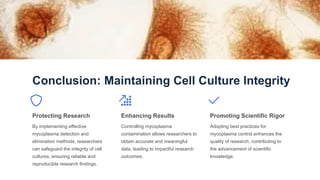 Conclusion: Maintaining Cell Culture Integrity
Protecting Research
By implementing effective
mycoplasma detection and
elimination methods, researchers
can safeguard the integrity of cell
cultures, ensuring reliable and
reproducible research findings.
Enhancing Results
Controlling mycoplasma
contamination allows researchers to
obtain accurate and meaningful
data, leading to impactful research
outcomes.
Promoting Scientific Rigor
Adopting best practices for
mycoplasma control enhances the
quality of research, contributing to
the advancement of scientific
knowledge.
 