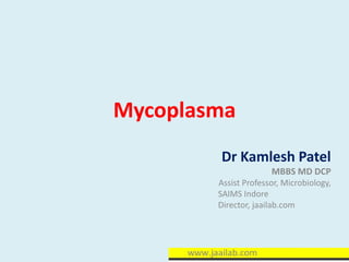 Mycoplasma
Dr Kamlesh Patel
MBBS MD DCP
Assist Professor, Microbiology,
SAIMS Indore
Director, jaailab.com
 