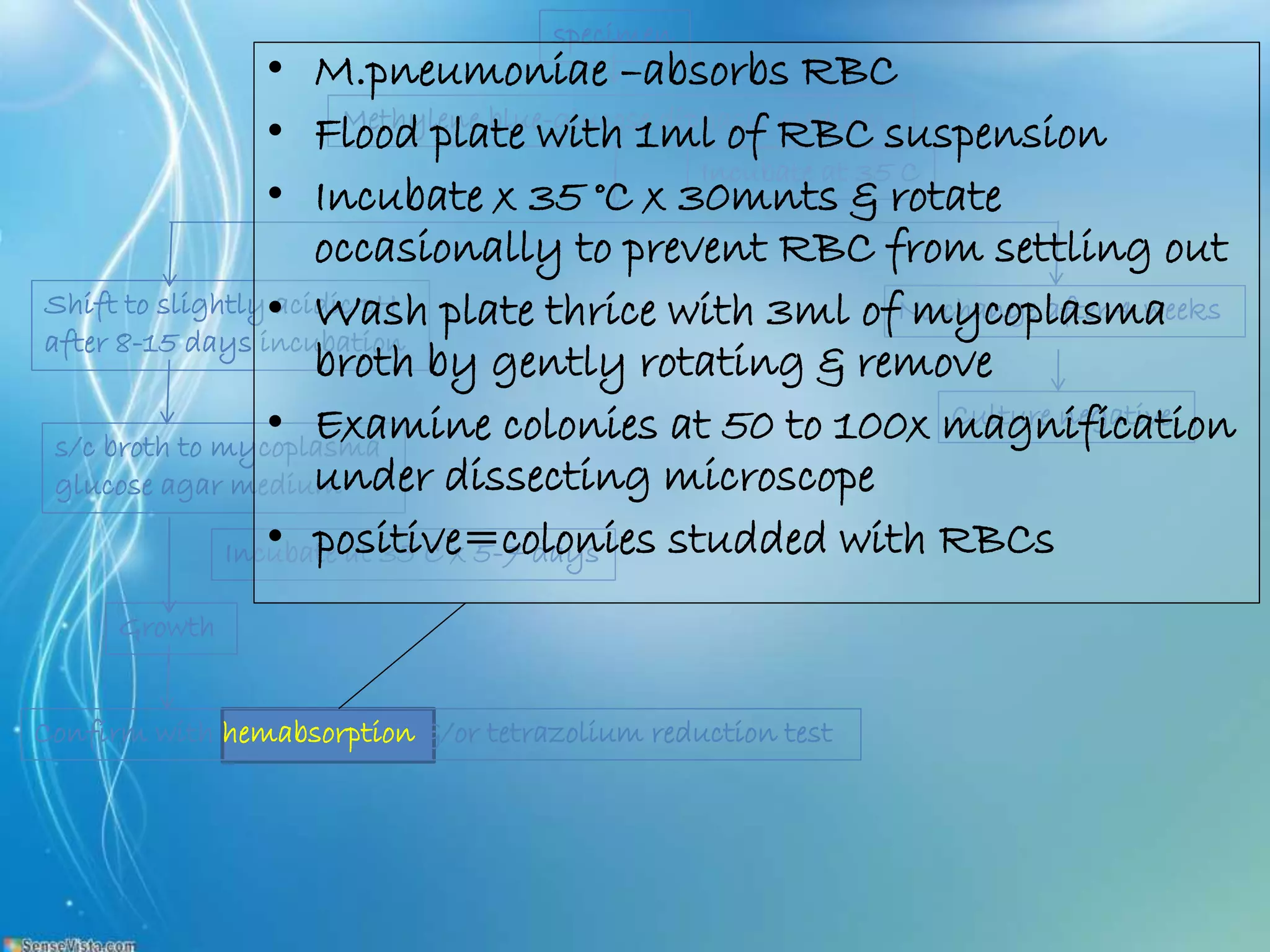 Mycoplasma complete | PPTX
