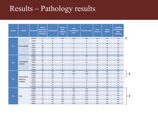 Vaccinating goats with live wildtype Mccp strain ILRI181 induces protective immunity against CCPP