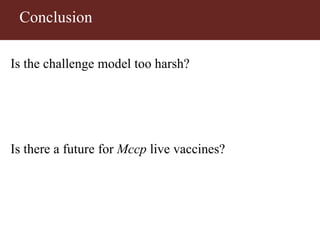 Vaccinating goats with live wildtype Mccp strain ILRI181 induces protective immunity against CCPP
