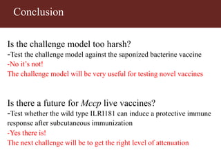 Vaccinating goats with live wildtype Mccp strain ILRI181 induces protective immunity against CCPP