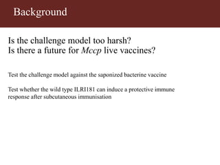 Vaccinating goats with live wildtype Mccp strain ILRI181 induces protective immunity against CCPP