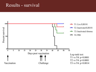 Vaccinating goats with live wildtype Mccp strain ILRI181 induces protective immunity against CCPP
