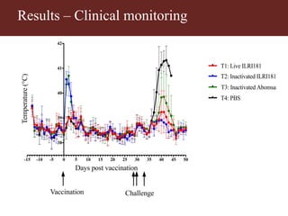 Vaccinating goats with live wildtype Mccp strain ILRI181 induces protective immunity against CCPP