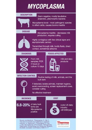 Mycoplasma Infographic 