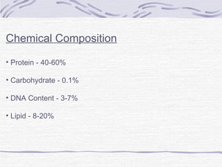 Chemical Composition
• Protein - 40-60%
• Carbohydrate - 0.1%
• DNA Content - 3-7%
• Lipid - 8-20%
 