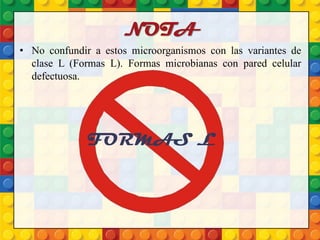 NOTA
• No confundir a estos microorganismos con las variantes de
clase L (Formas L). Formas microbianas con pared celular
defectuosa.
FORMAS L
 