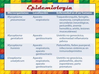 Epidemiología
 