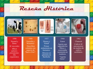 Reseña Histórica
1898
Nocard y
Roux
M. mycoides
PPLO
(pleuro-
pneumonia-
like
organisms).
1900
Dujardin y
Beaumetz
Describen
colonias con
aspecto de
“huevo frito”.
1937
Dienes y
Edsall
Primer
aislamiento en
humanos.
Absceso en
glándula de
Bartholin
1944
Eaton
Agente que
superaba los
filtros y
ocasionaba
neumonía en
roedores.
“Agente
Eaton”
1962
Chanock
Cultivó M.
pneumoniae
en medios de
cultivo
acelulares.
 