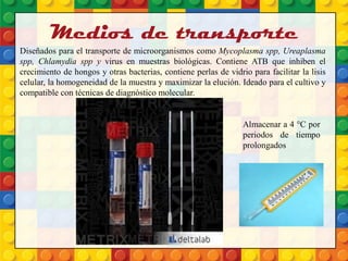 Medios de transporte
Diseñados para el transporte de microorganismos como Mycoplasma spp, Ureaplasma
spp, Chlamydia spp y virus en muestras biológicas. Contiene ATB que inhiben el
crecimiento de hongos y otras bacterias, contiene perlas de vidrio para facilitar la lisis
celular, la homogeneidad de la muestra y maximizar la elución. Ideado para el cultivo y
compatible con técnicas de diagnóstico molecular.
Almacenar a 4 °C por
periodos de tiempo
prolongados
 