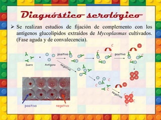 Diagnóstico serológico
 Se realizan estudios de fijación de complemento con los
antígenos glucolípidos extraídos de Mycoplasmas cultivados.
(Fase aguda y de convalecencia).
 