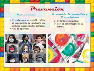Prevención
 El aislamiento es inviable debido
al largo período de incubación que
aumenta la capacidad de contagio.
 Uso de tapabocas.
M. pneumoniae M. hominis, M. genitalium y
U. urealyticum
 Evitar la promiscuidad.
 Uso de anticonceptivos de
barrera.
 
