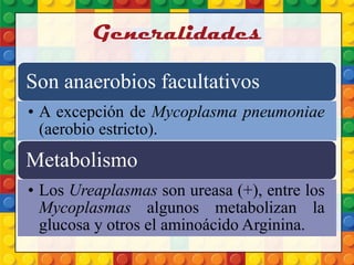Generalidades
Son anaerobios facultativos
• A excepción de Mycoplasma pneumoniae
(aerobio estricto).
Metabolismo
• Los Ureaplasmas son ureasa (+), entre los
Mycoplasmas algunos metabolizan la
glucosa y otros el aminoácido Arginina.
 