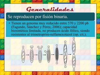 Generalidades
Se reproducen por fisión binaria.
• Tienen un genoma muy reducido entre 570 y 2200 pb
(Fagundo, Sánchez y Pérez, 2006); capacidad
biosintética limitada, no producen ácido fólico, siendo
resistentes al trimetroprim-sulfamexotazol (op. cit.).
 