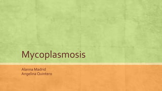 Mycoplasmosis
 