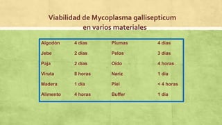 Algodón 4 días Plumas 4 días
Jebe 2 días Pelos 3 días
Paja 2 días Oído 4 horas
Viruta 8 horas Nariz 1 día
Madera 1 día Piel < 4 horas
Alimento 4 horas Buffer 1 día
Viabilidad de Mycoplasma gallisepticum
en varios materiales
 