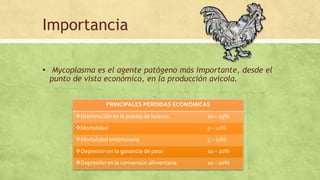 Importancia
▪ Mycoplasma es el agente patógeno más importante, desde el
punto de vista económico, en la producción avícola.
PRINCIPALES PÉRDIDAS ECONÓMICAS
Disminución en la puesta de huevos 10 – 25%
Mortalidad 5 – 10%
Mortalidad embrionaria 5 – 10%
Depresión en la ganancia de peso 10 – 20%
Depresión en la conversión alimentaria 10 – 20%
 