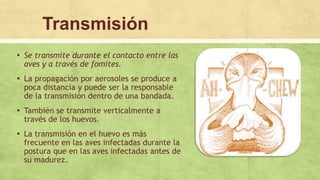 Transmisión
▪ Se transmite durante el contacto entre las
aves y a través de fomites.
▪ La propagación por aerosoles se produce a
poca distancia y puede ser la responsable
de la transmisión dentro de una bandada.
▪ También se transmite verticalmente a
través de los huevos.
▪ La transmisión en el huevo es más
frecuente en las aves infectadas durante la
postura que en las aves infectadas antes de
su madurez.
 