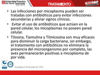 • Las infecciones por micoplasma pueden ser
tratadas con antibióticos para evitar infecciones
secundarias y aliviar signos clínicos.
• Evitar el uso de antibióticos que actúen en la
pared celular, los micoplasmas no poseen pared
celular.
• Tilosina, Tiamulina y Tilmicosina son muy eficaces
para disminuir la carga bacteriana, sin embargo,
el tratamiento con antibióticos no eliminara la
presencia del microorganismo por completo, las
aves permanecerán positivas a micoplasma de
por vida.
TRATAMIENTO
 