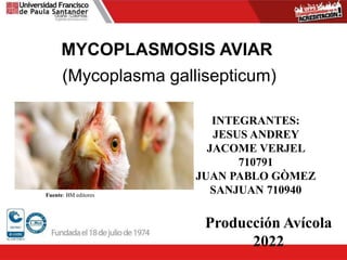 MYCOPLASMOSIS AVIAR
(Mycoplasma gallisepticum)
Fuente: BM editores
INTEGRANTES:
JESUS ANDREY
JACOME VERJEL
710791
JUAN PABLO GÒMEZ
SANJUAN 710940
Producción Avícola
2022
 