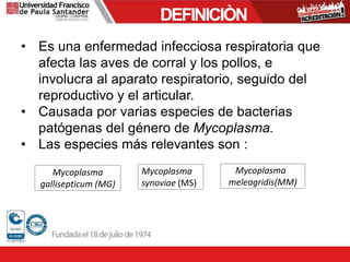 DEFINICIÒN
• Es una enfermedad infecciosa respiratoria que
afecta las aves de corral y los pollos, e
involucra al aparato respiratorio, seguido del
reproductivo y el articular.
• Causada por varias especies de bacterias
patógenas del género de Mycoplasma.
• Las especies más relevantes son :
Mycoplasma
gallisepticum (MG)
Mycoplasma
synoviae (MS)
Mycoplasma
meleagridis(MM)
 