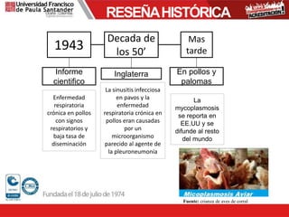 RESEÑAHISTÓRICA
1943
Decada de
los 50’
Mas
tarde
Inglaterra
Informe
cientifico
Enfermedad
respiratoria
crónica en pollos
con signos
respiratorios y
baja tasa de
diseminación
La sinusitis infecciosa
en pavos y la
enfermedad
respiratoria crónica en
pollos eran causadas
por un
microorganismo
parecido al agente de
la pleuroneumonía
En pollos y
palomas
La
mycoplasmosis
se reporta en
EE.UU y se
difunde al resto
del mundo
Fuente: crianza de aves de corral
 