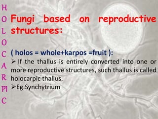Fungi based on reproductive
structures:
( holos = whole+karpos =fruit ):
 If the thallus is entirely converted into one or
more reproductive structures, such thallus is called
holocarpic thallus.
Eg.Synchytrium
H
O
L
O
C
A
R
PI
C
 