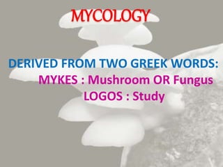 MYCOLOGY
DERIVED FROM TWO GREEK WORDS:
MYKES : Mushroom OR Fungus
LOGOS : Study
 