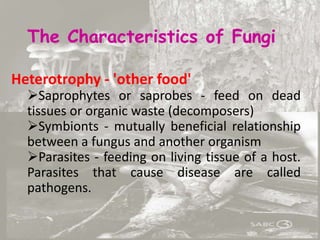 Heterotrophy - 'other food'
Saprophytes or saprobes - feed on dead
tissues or organic waste (decomposers)
Symbionts - mutually beneficial relationship
between a fungus and another organism
Parasites - feeding on living tissue of a host.
Parasites that cause disease are called
pathogens.
The Characteristics of Fungi
 
