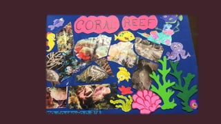 My coral reef