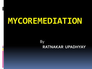 MYCOREMEDIATION
By
RATNAKAR UPADHYAY
 