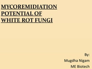 MYCOREMIDIATION
POTENTIAL OF
WHITE ROT FUNGI




                            By:
                  Mugdha Nigam
                    ME Biotech
 