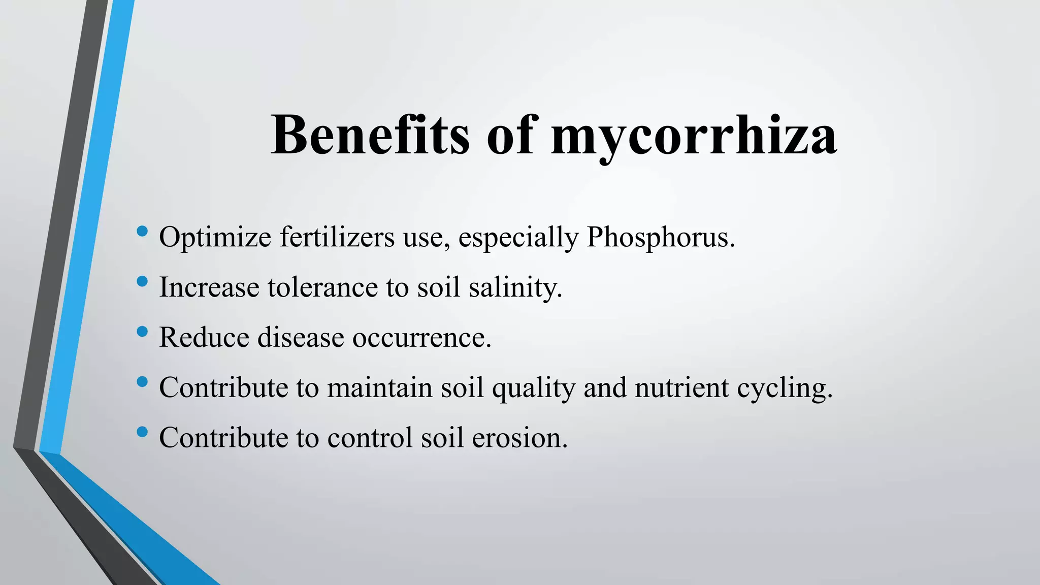 Mycorrhiza | PPT
