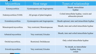 Mycorrhiza Host range Types of relationship
Ectomycorrhiza Gymnosperms and Angiosperms
Sheath, intercellular
hyphae
Endomycorrhiza (VAM) All groups of plant kingdom
Coiled intracellular hyphae, vesicle and
arbuscules present
Ectendomycorrhiza Gymnosperms and Angiosperms Sheath optional, inter and intracellular hyphae
Monotropoid mycorrhiza Very restricted, Monotropaceae
Sheath, inter and coiled intracellular hyphae
Arbutoid mycorrhiza Very restricted, Ericales
Sheath, inter and coiled intracellular hyphae
Orchid mycorrhiza, Restricted, Orchidaceae
Only coiled intracellular hyphae
Ericoid mycorrhiza Very restricted, Ericales
No sheath, no intercellular
hyphae, long,
coiled
 