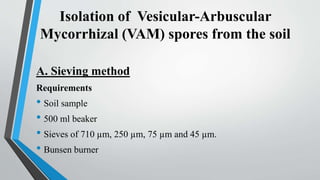 Isolation of Vesicular-Arbuscular
Mycorrhizal (VAM) spores from the soil
A. Sieving method
Requirements
• Soil sample
• 500 ml beaker
• Sieves of 710 µm, 250 µm, 75 µm and 45 µm.
• Bunsen burner
 