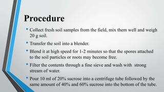 Procedure
• Collect fresh soil samples from the field, mix them well and weigh
20 g soil.
• Transfer the soil into a blender.
• Blend it at high speed for 1-2 minutes so that the spores attached
to the soil particles or roots may become free.
• Filter the contents through a fine sieve and wash with strong
stream of water.
• Pour 10 ml of 20% sucrose into a centrifuge tube followed by the
same amount of 40% and 60% sucrose into the bottom of the tube.
 